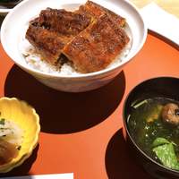 うなぎ和食  しら河 今池ガスビル店 - 上うな丼と肝吸い