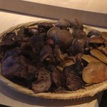 霜止出苗 - きのこ色々