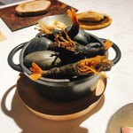 ラ・ヴァガボンド - 