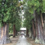 モスバーガー - 河口浅間神社参道の杉並木