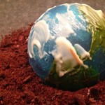 モンプチコションローズ - メイン写真: