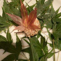 モナリザ 恵比寿店 - 