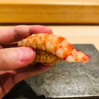 はっこく - 