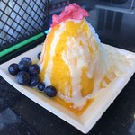 Island Vintage Shave Ice - 
