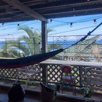 ココ 工房&カフェ - 座った席からも海・・・テラスにはハンモック。