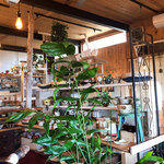 ココ 工房&カフェ - ギャラリー兼カフェの店内。