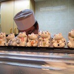 Atarashi - 陳列ケースの上に招き猫がズラリ