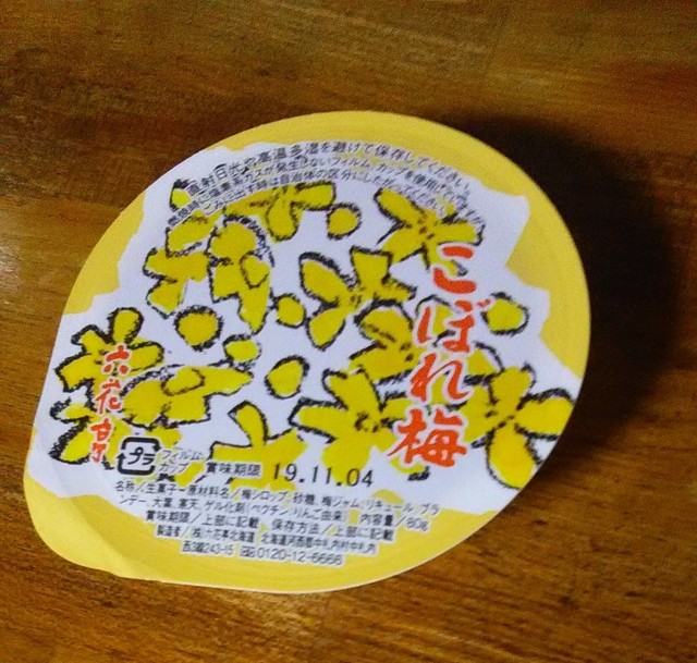 B5)六花亭 こぼれ梅シロップ 390g 10本 北海道 梅ジュース 梅サワー B5