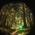 201 - ﾃｰﾌﾞﾙ演出：ﾌﾟﾛｼﾞｪｸｼｮﾝﾏｯﾋﾟﾝｸﾞで森の映像が！