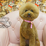 やしろ食堂 - スッキリしました。