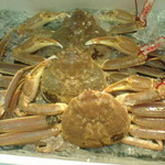 石まつ　三代目 - 