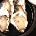 steamed Oyster