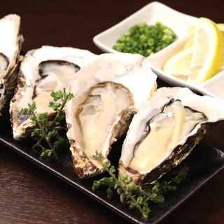 コスパ◎‼️毎日全国から仕入れる鮮度抜群な牡蠣をほぼ原価で！