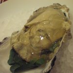 サラマンジェ・ド・イザシ・ワキサカ - 牡蠣