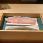 寿し道 桜田 - 今日のネタ達