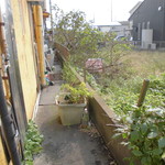 北珍 - お店の三毛猫