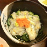 鳥恵 - 赤ナマコ