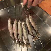 日本料理 たかむら - 