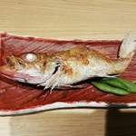 魚吟 新富町 - 