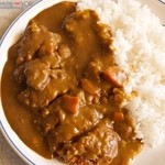 Wakayama Shiyokudou - カツカレー580円