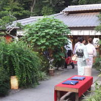 東京 芝 とうふ屋うかい - 素敵なお庭