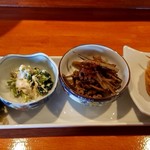 栄夏 - 豆とごぼうとひじきの煮物、ゴーヤサラダ、小松菜の白和え、きんぴらごぼう、豚ミンチを油揚げで包んだやつ