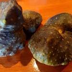 栄夏 - 宇宙芋(よくわからんけど大きいらしい)