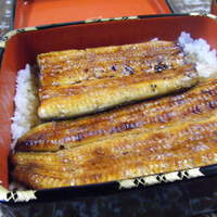 明神下 神田川 本店 - うな重