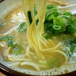 麺屋 高橋 - 塩らーめんの麺