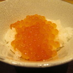 川田 - イクラご飯