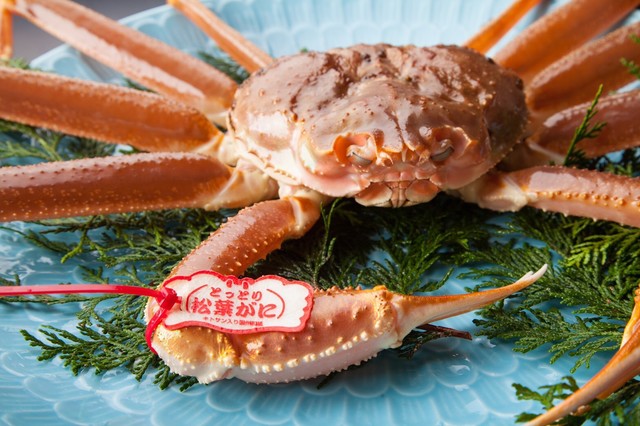 旬彩 こころび 本店 鳥取 魚介料理 海鮮料理 ネット予約可 食べログ