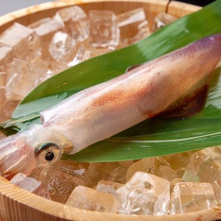 鳥取の旬の活魚を鮮度抜群のまま捌き提供しています