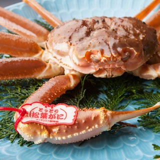 鳥取市内一番の松葉蟹の仕入れ量！圧巻です