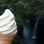 千穂の家 - 日向夏ソフトクリーム