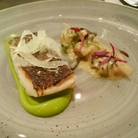 スリオラ - クロムツのプランチャ