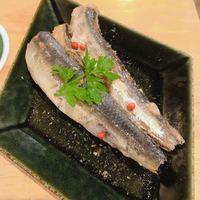 京都イタリアン 欧食屋 Kappa - 