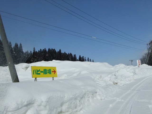 きっかわ（ハピー農場） &ndash; 峰吉川の肉料理店｜秋田・大仙市で味わう地元食材の絶品グリル
