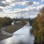 麺屋 彩未 - 豊平川