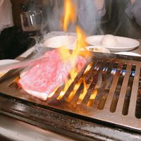 うしごろバンビーナ 恵比寿本店 - 