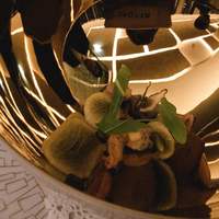 SALONE TOKYO - 