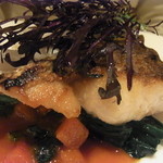 リストランテ ラ・バリック トウキョウ - 真鯛のソテー