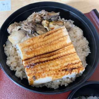 お魚プロジェクト_1