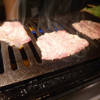 うしごろバンビーナ 渋谷店 -  うしごろバンビーナ 渋谷店 -