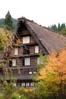 Kissa Konjaku - いたるところに茅葺き屋根。