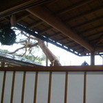 つる幸 - 雪見障子の向こうには見越しの松