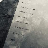 アニエルドール - 