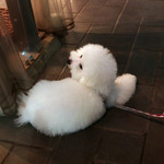 エビスエスクラッシコ - 〜になります！！