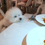 エビスエスクラッシコ - お肉の匂いにうっとり・・