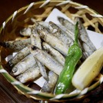 sashimi dining 魚浜 アンド バル - 