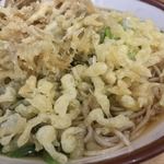 そばの神田 東一屋 - 揚げ玉ブチまけろ！  #BCMKR!